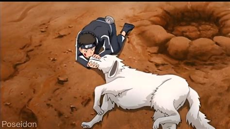 naruto dog guy|kiba and akamaru death.